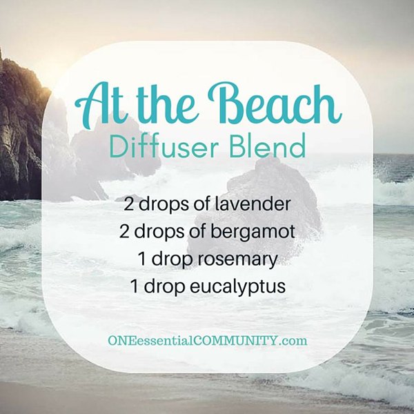 At the Beach Diffuser Blend via ONE essential COMMUNITY