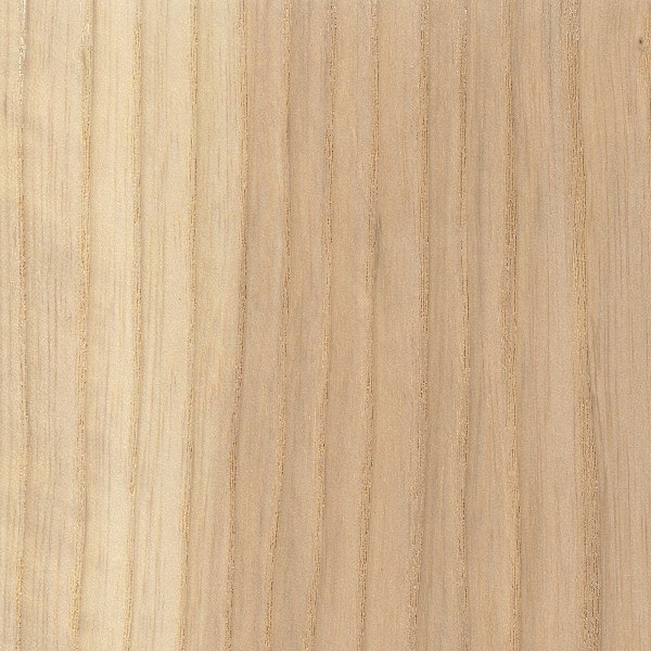 Ash Wood via THE WOOD DATABASE