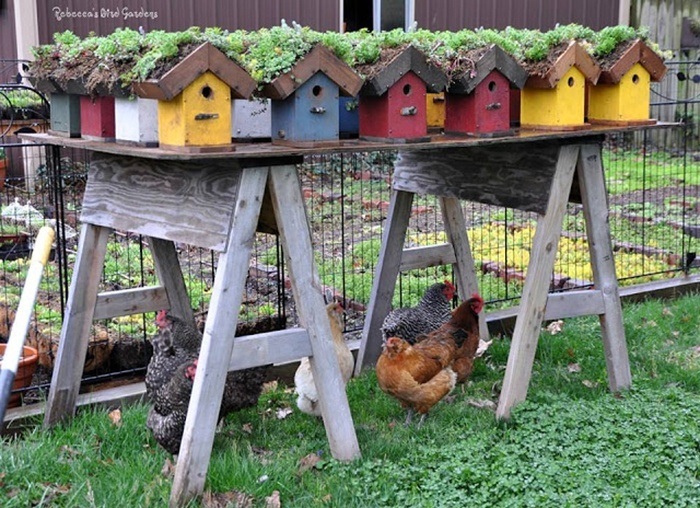 DIY Birdhouse via Rebecca's Bird Gardens