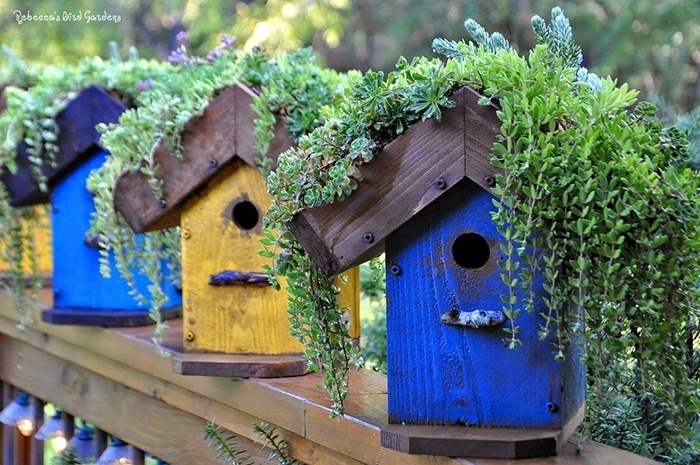 DIY Birdhouse via Rebecca's Bird Gardens