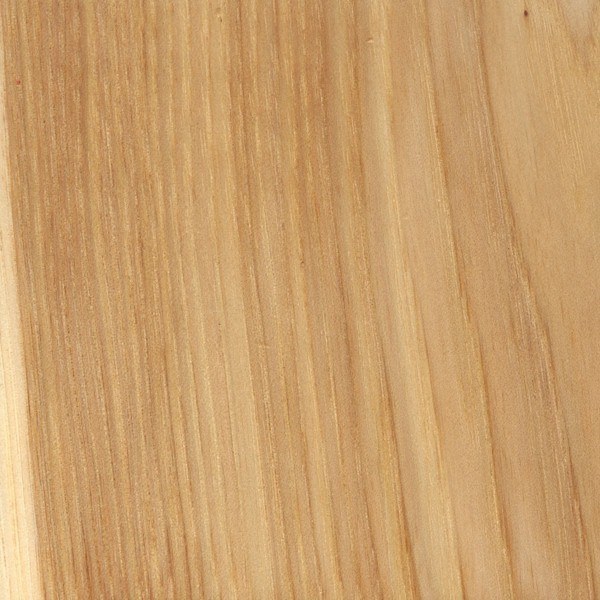 Shabark Hickory Sealed via THE WOOD DATABASE