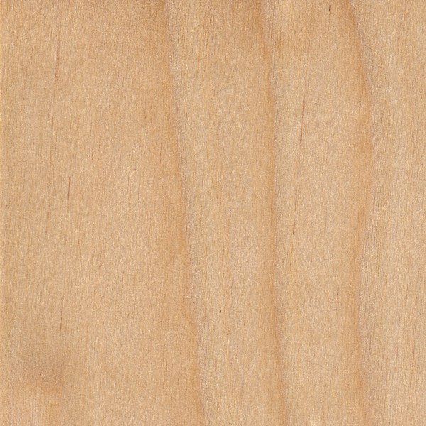 Yellow Birch Sealed via THE WOOD DATABASE