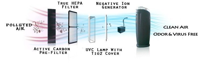 True HEPA via The Atlas Store