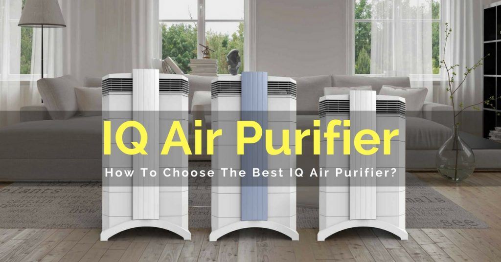 IQ Air Purifier