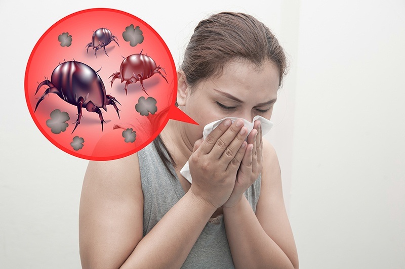 Woman sneeze rashes, allergy to dust mites.