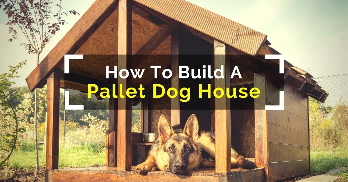 How To Build A Pallet Dog House