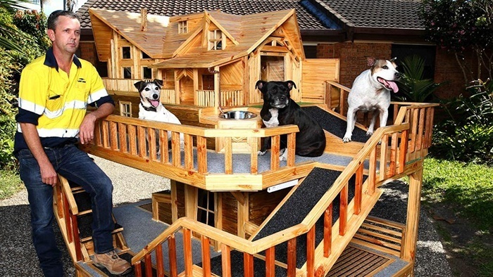 How To Build A Pallet Dog House In A Perfect Manner?