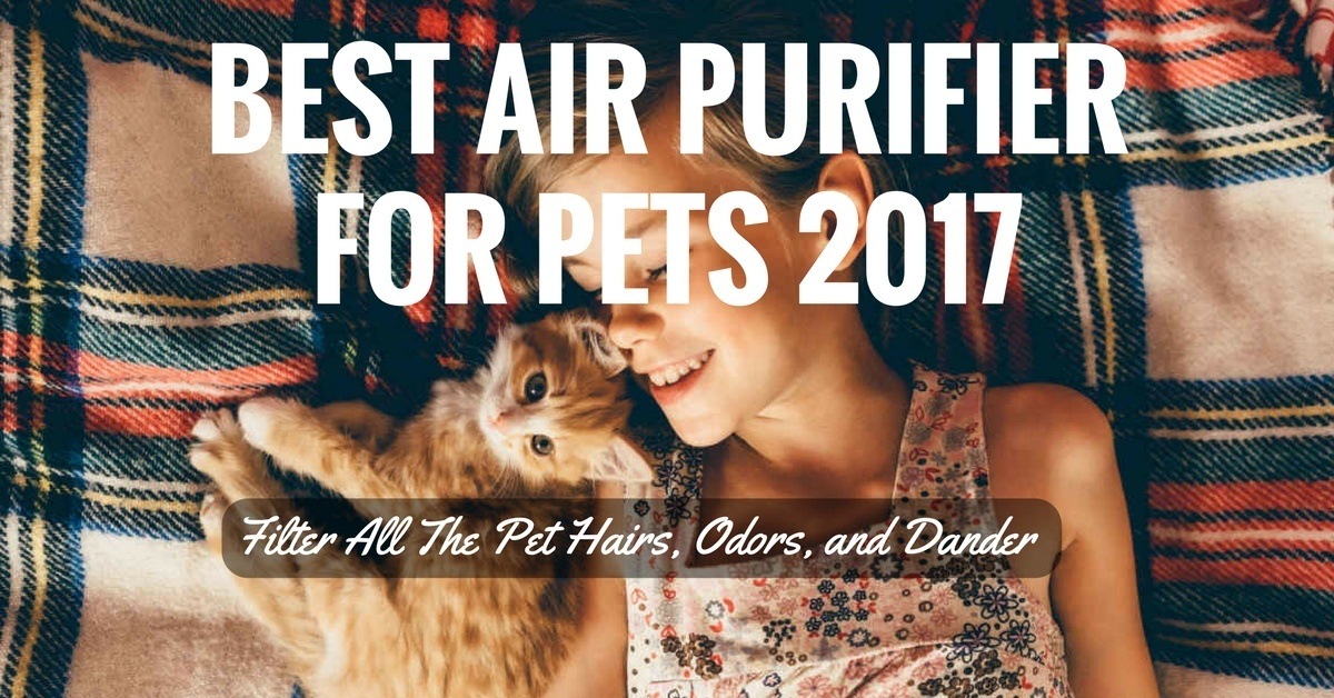 best air filter for pet dander