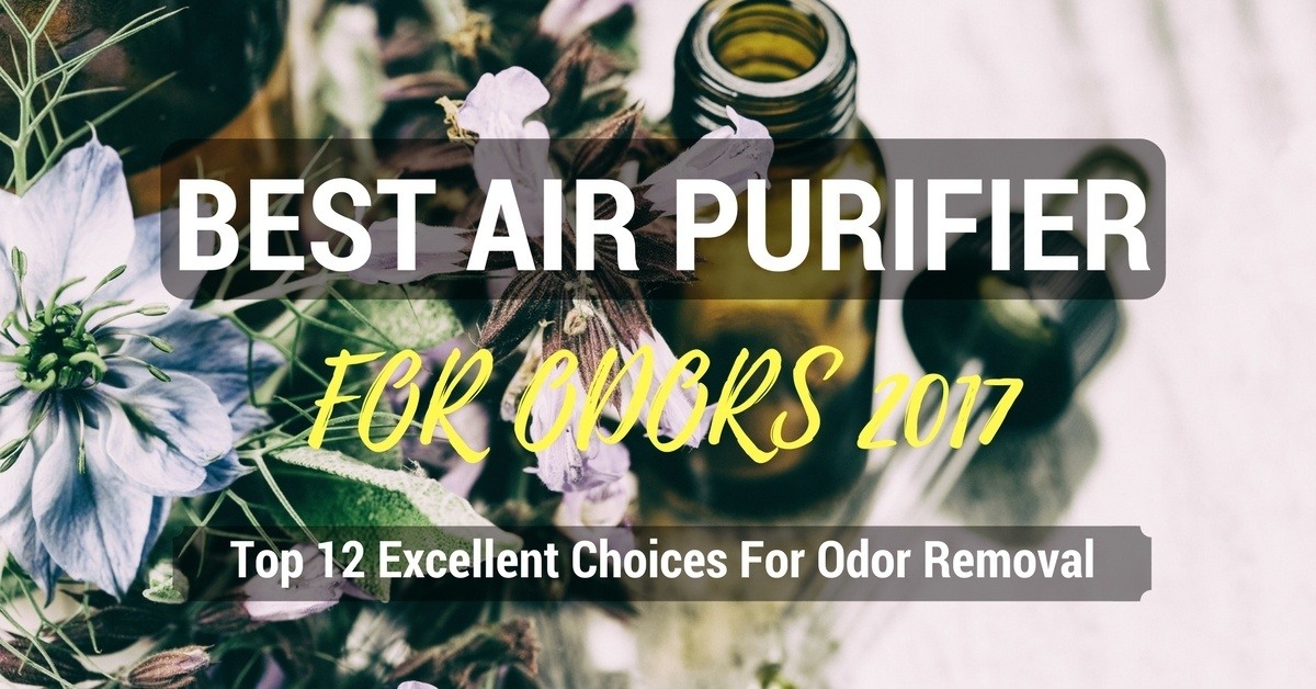 best air purifier for odor elimination