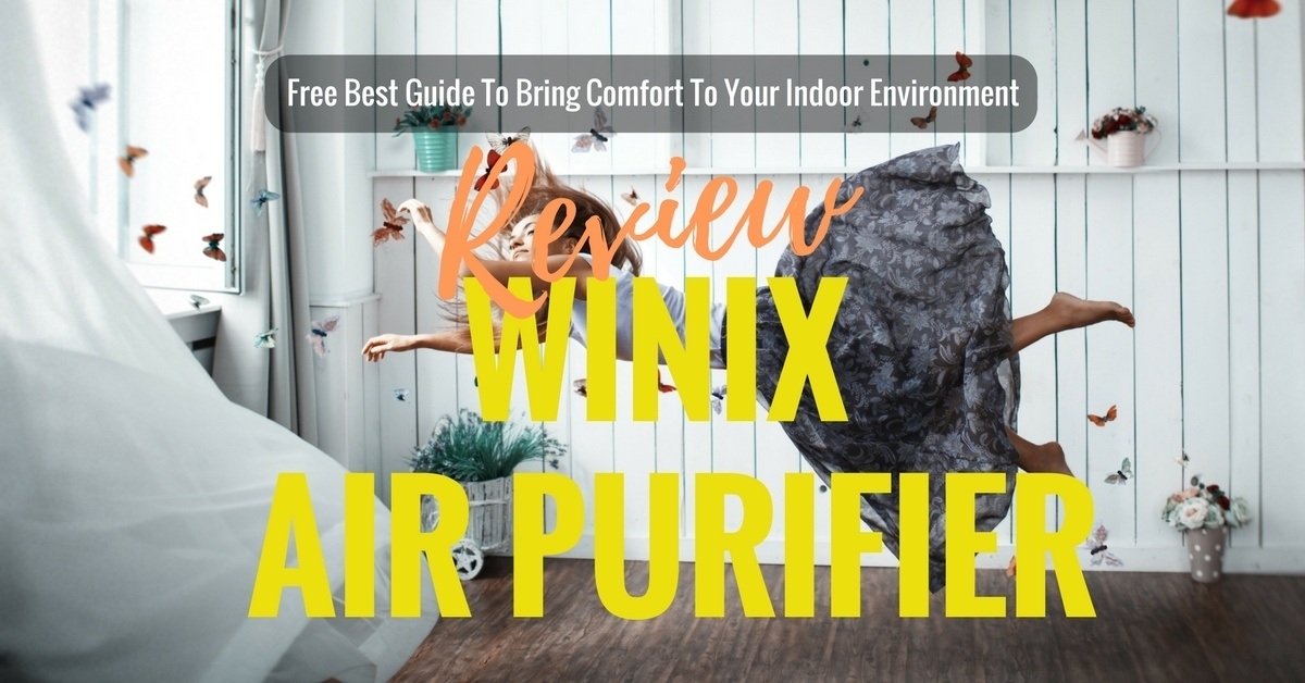 winix air cleaner review