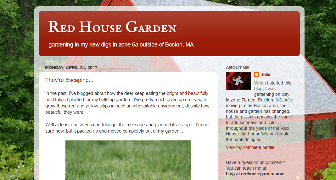 Red House Garden